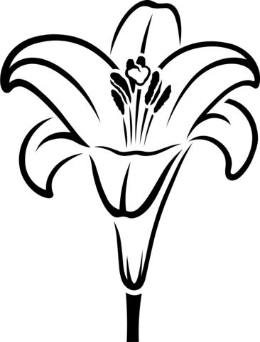 Easter Lily Coloring Page